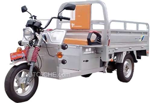 Electric Cargo Trike