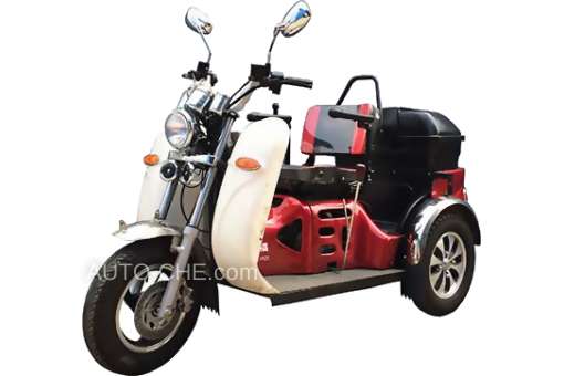 Moped Trike