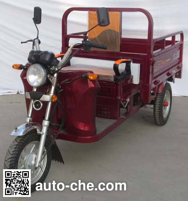 Benyi cargo moto three-wheeler BY110ZH-C