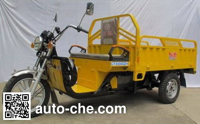 Chuanye electric cargo moto three-wheeler CY3000DZH