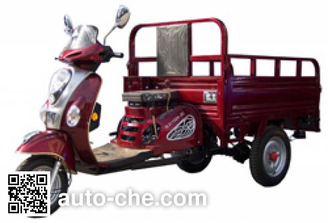 Dalishen cargo moto three-wheeler DLS110ZH-3C