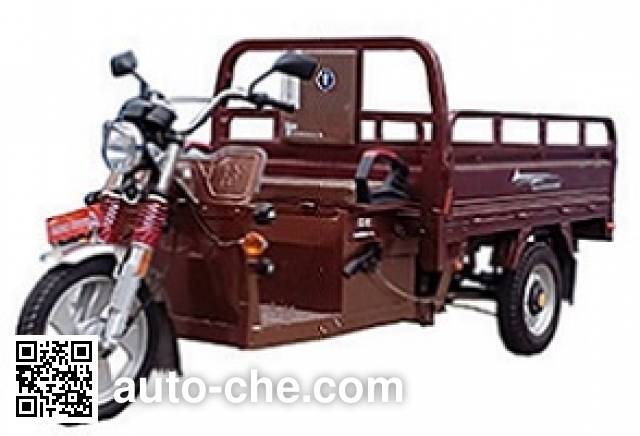 Dalishen electric cargo moto three-wheeler DLS4500DZH-5C
