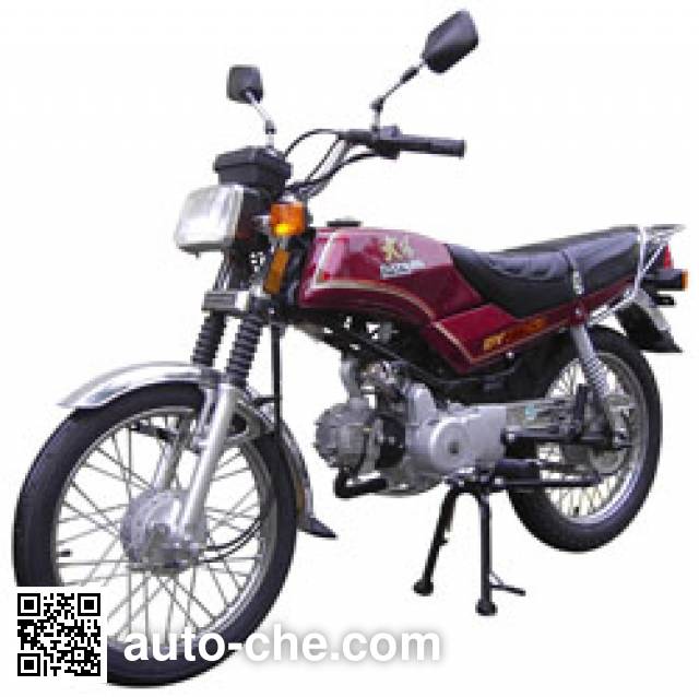 Dayang motorcycle DY100-5H