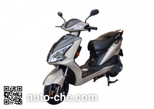 Dayang electric scooter (EV) DY1500DT-3