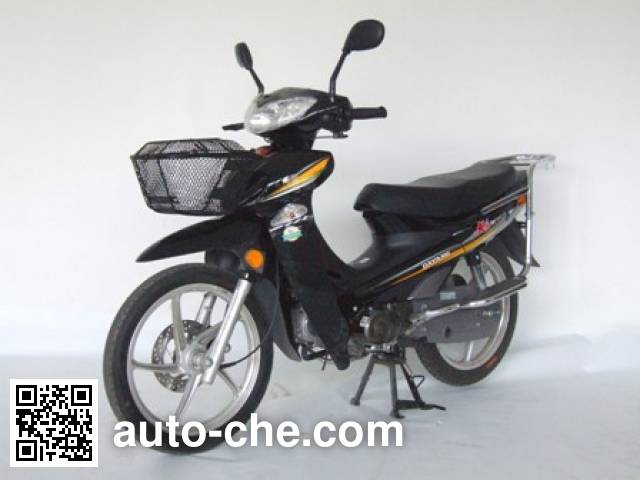 Dayang 50cc underbone motorcycle DY48Q-2A