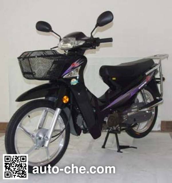 Dayang 50cc underbone motorcycle DY48Q-5A