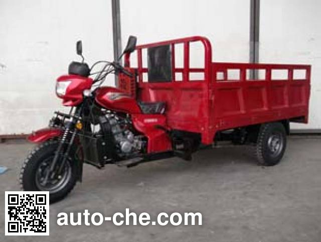 Liyang cargo moto three-wheeler LY250ZH-2