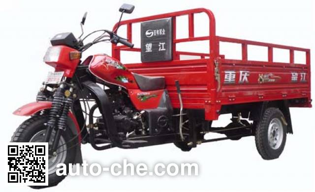 Wangjiang cargo moto three-wheeler WJ175ZH-2