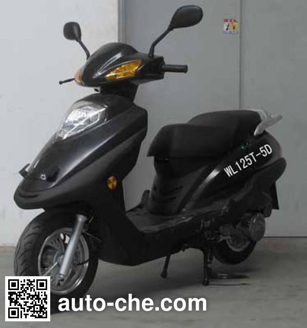 Wanglong scooter WL125T-5D