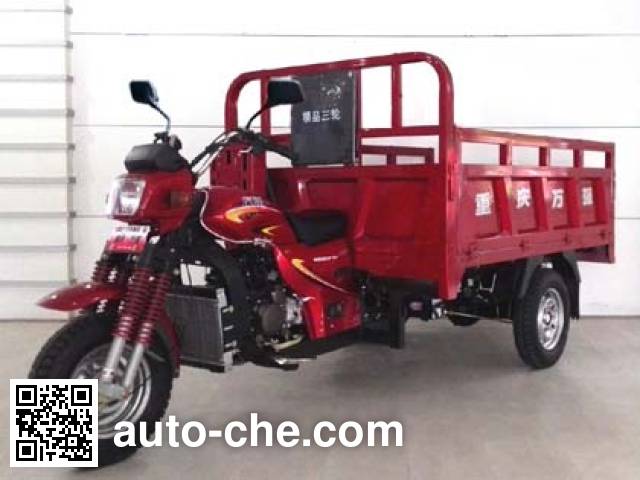 Wanqiang cargo moto three-wheeler WQ250ZH-16A