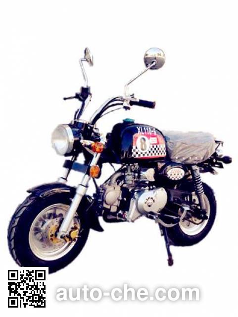 Xunlong motorcycle XL110-6