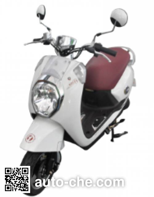 Yadea electric scooter (EV) YD1000DT-11B