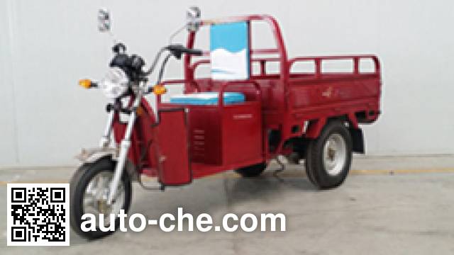 Yadea electric cargo moto three-wheeler YD3000DZH