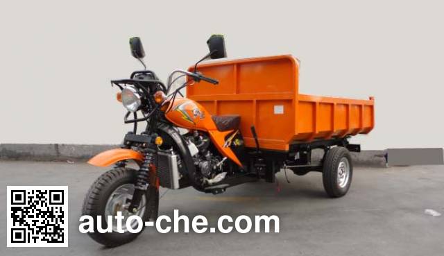 Yingang cargo moto three-wheeler YG250ZH-B
