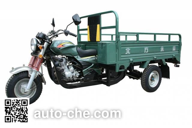 Yuyongsheng cargo moto three-wheeler YYS200ZH-3