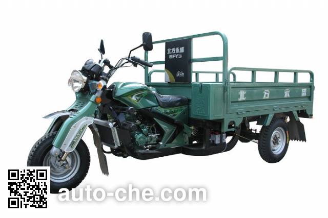 Yuyongsheng cargo moto three-wheeler YYS250ZH