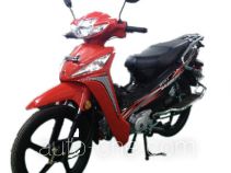 Dongfang underbone motorcycle DF110-5