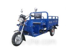 Dajiang cargo moto three-wheeler DJ110ZH-10