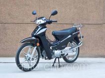 Dalong underbone motorcycle DL110-22