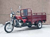 Dalong cargo moto three-wheeler DL110ZH-20C