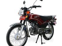 Lifan motorcycle LF100-G