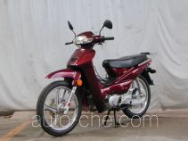 Dongyi underbone motorcycle TE110-C