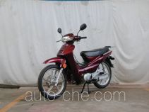 Underbone motorcycle Dongli