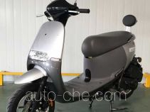 Wanglong scooter WL100T-9