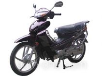 Xima underbone motorcycle XM110-25