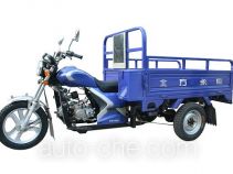 Yuyongsheng cargo moto three-wheeler YYS110ZH
